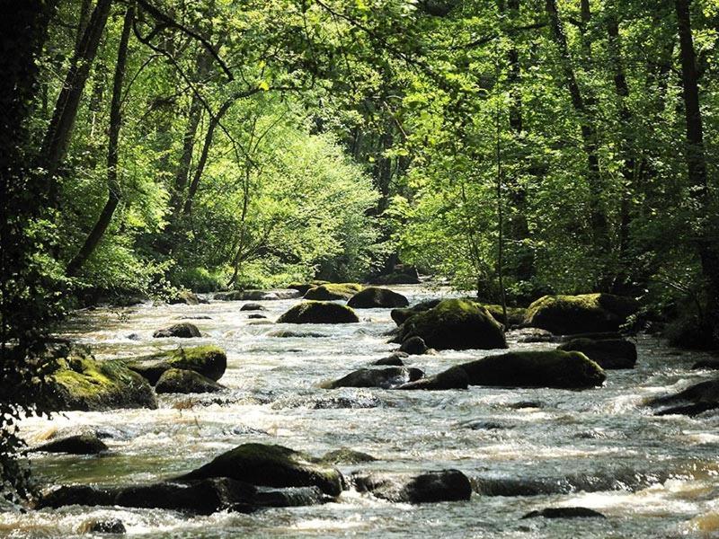 Вилла La Grange Taillebois Экстерьер фото